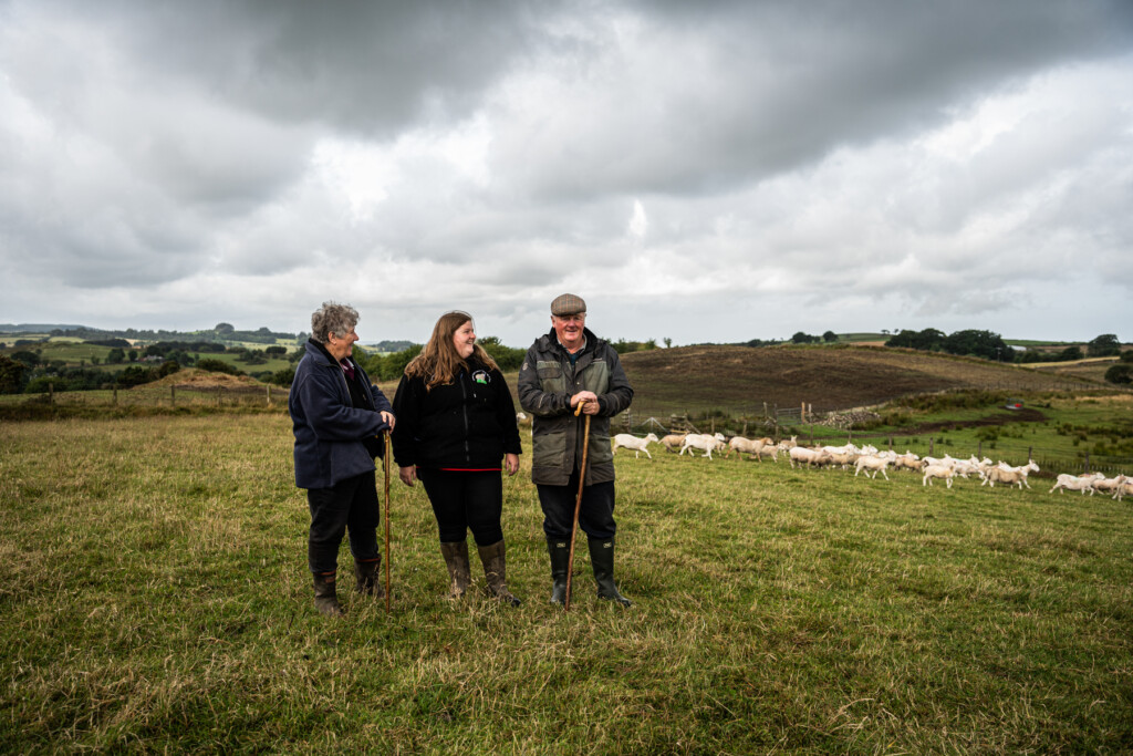 Emily and her parents out in the field with their sheep. Welsh farming at its bets.