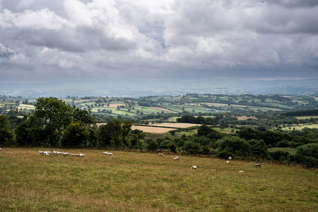 Looking out at the green land surrounding the farm in Ceredigion