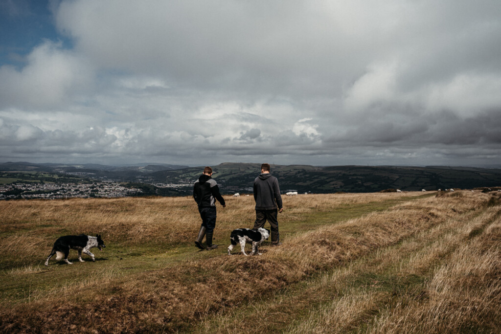 Brothers Ben and Ethan Williams and their two sheepdogs walking high up on Garth Hill.