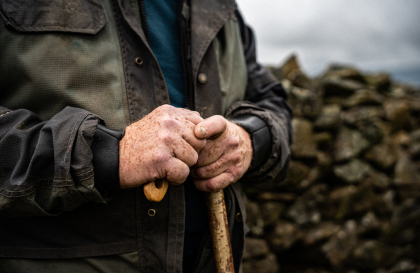 Quick link image Learn more about Welsh lamb